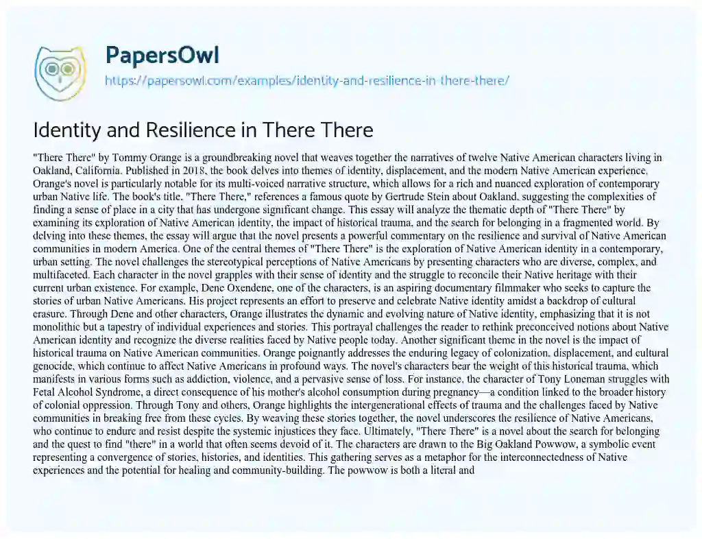 Essay on Identity and Resilience in There There