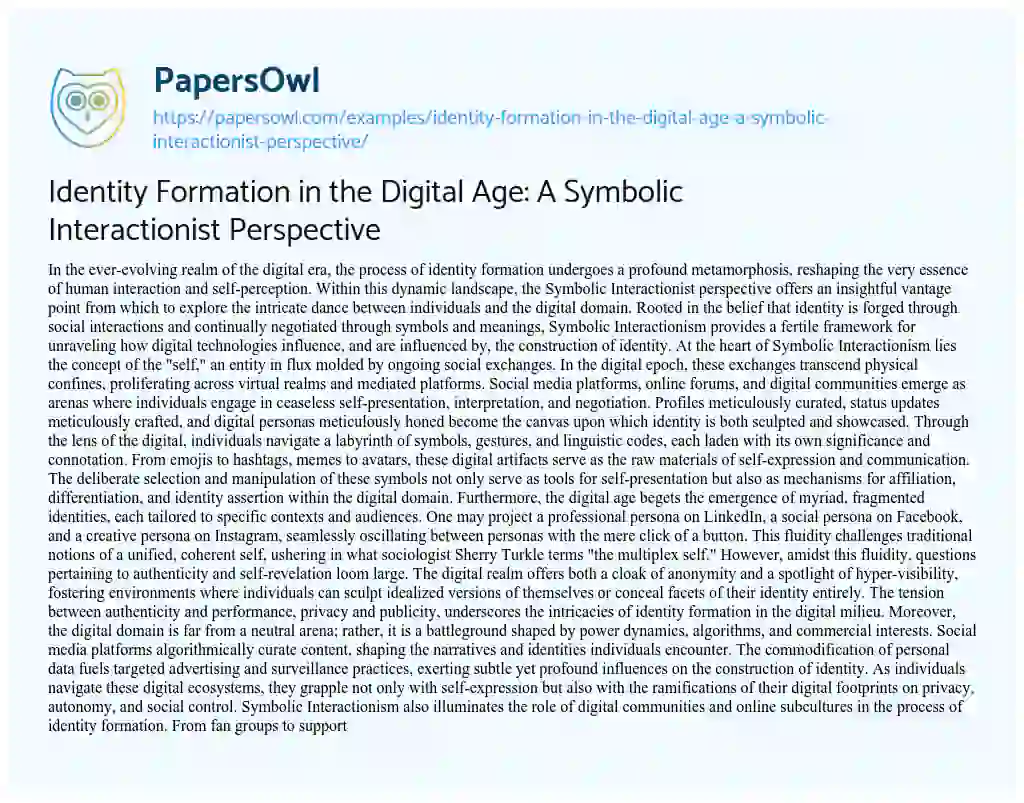 Essay on Identity Formation in the Digital Age: a Symbolic Interactionist Perspective