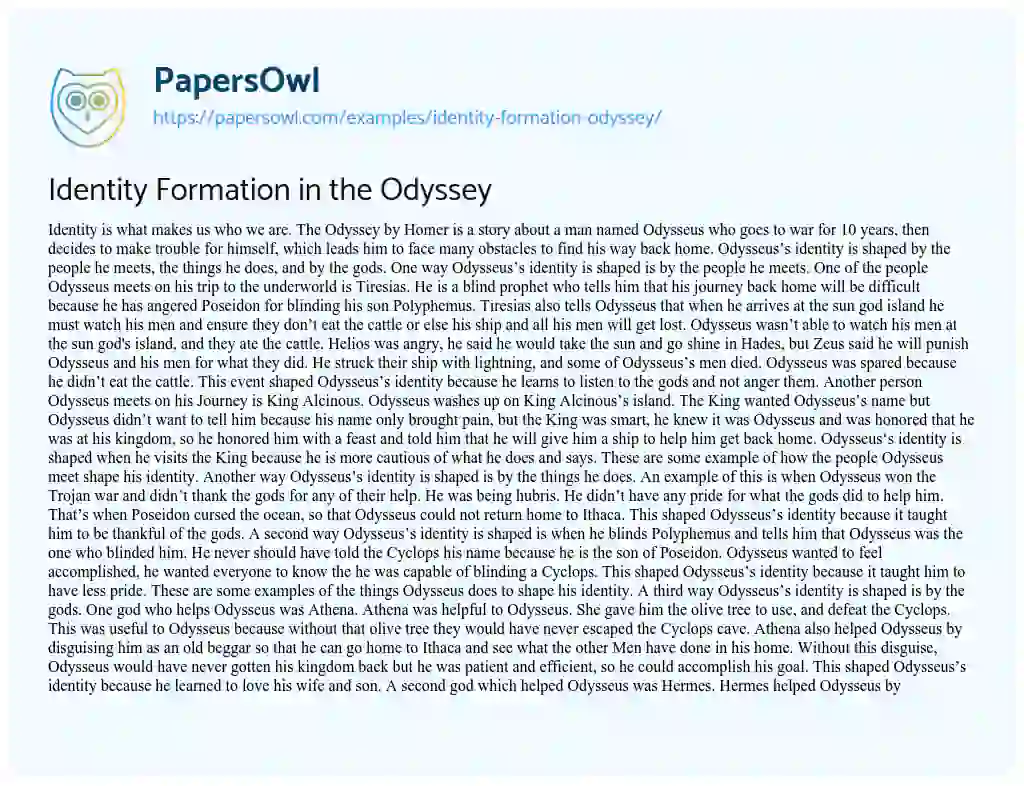 Essay on Identity Formation in the Odyssey