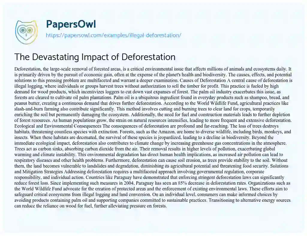 Essay on Illegal Deforestation