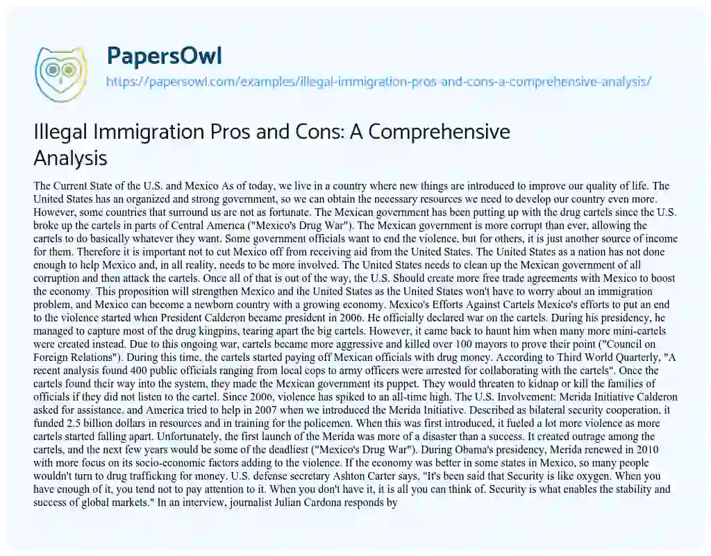 Illegal Immigration Pros And Cons A Comprehensive Analysis Free Essay Example 2400 Words