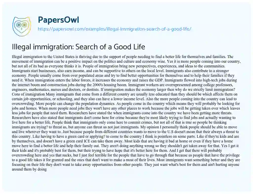 Illegal Immigration: Search of a Good Life essay