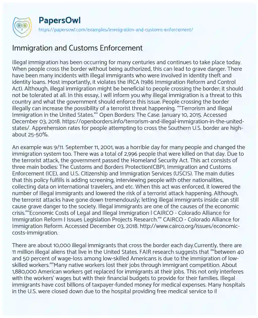 Essay on Immigration and Customs Enforcement