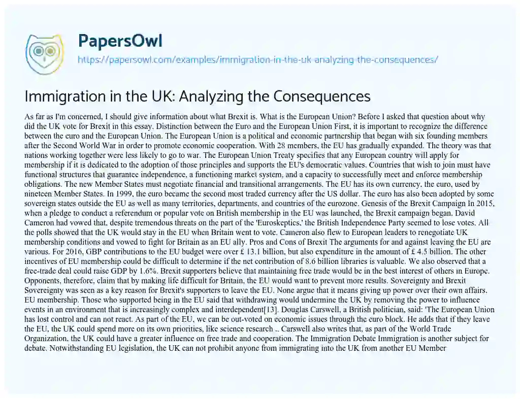 Essay on Immigration in the UK: Analyzing the Consequences