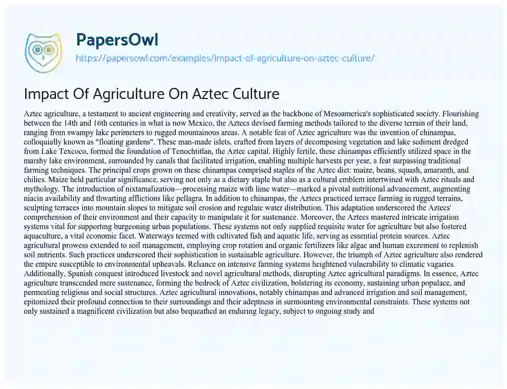 Essay on Impact of Agriculture on Aztec Culture