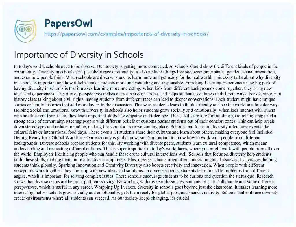 Essay on Importance of Diversity in Schools