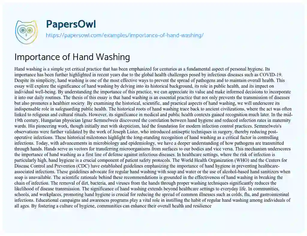 Essay on Importance of Hand Washing