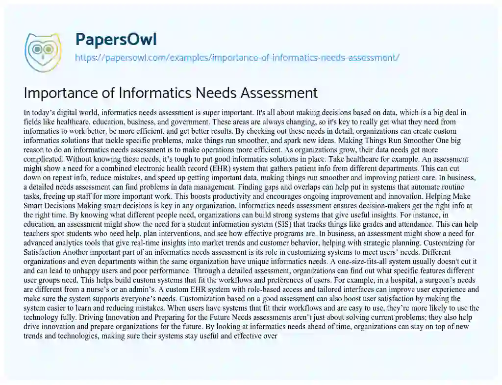 Essay on Importance of Informatics Needs Assessment