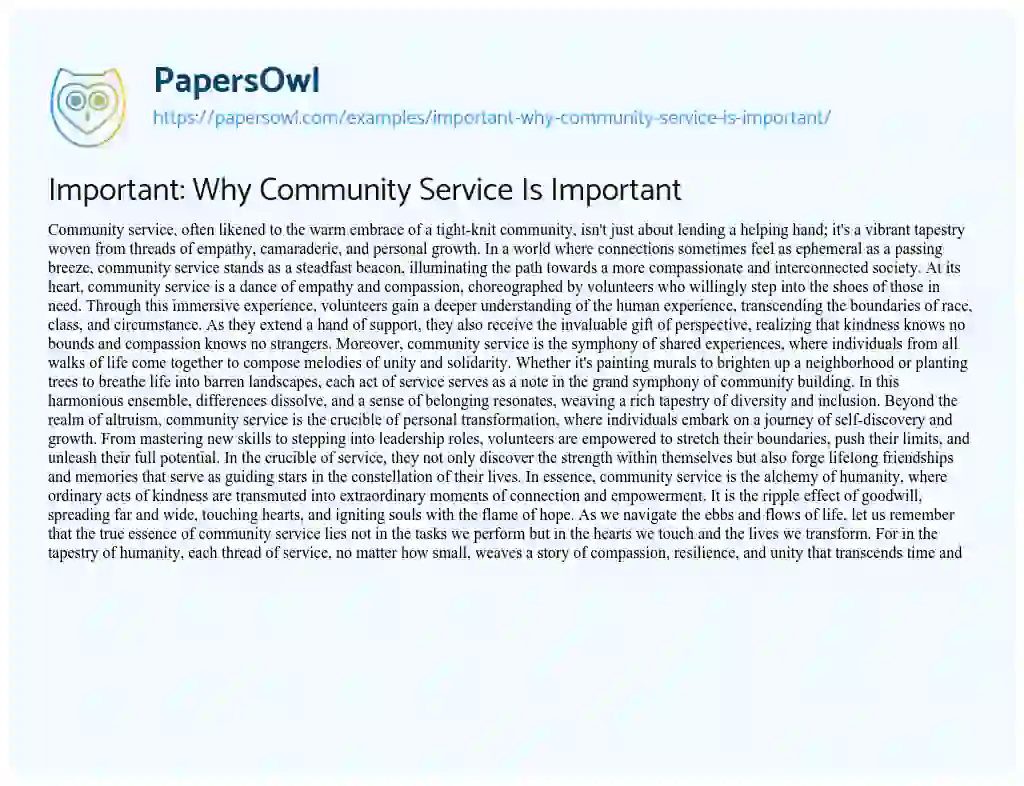 Essay on Important: why Community Service is Important