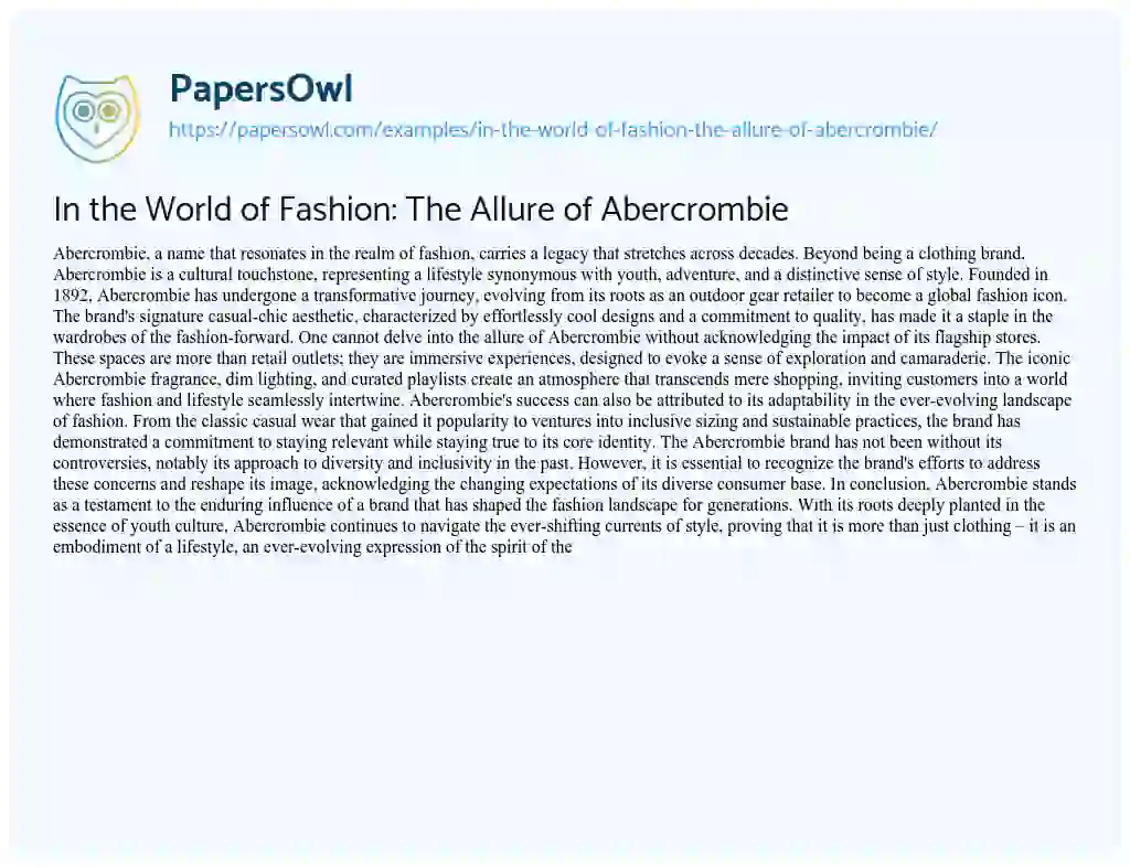 Essay on In the World of Fashion: the Allure of Abercrombie