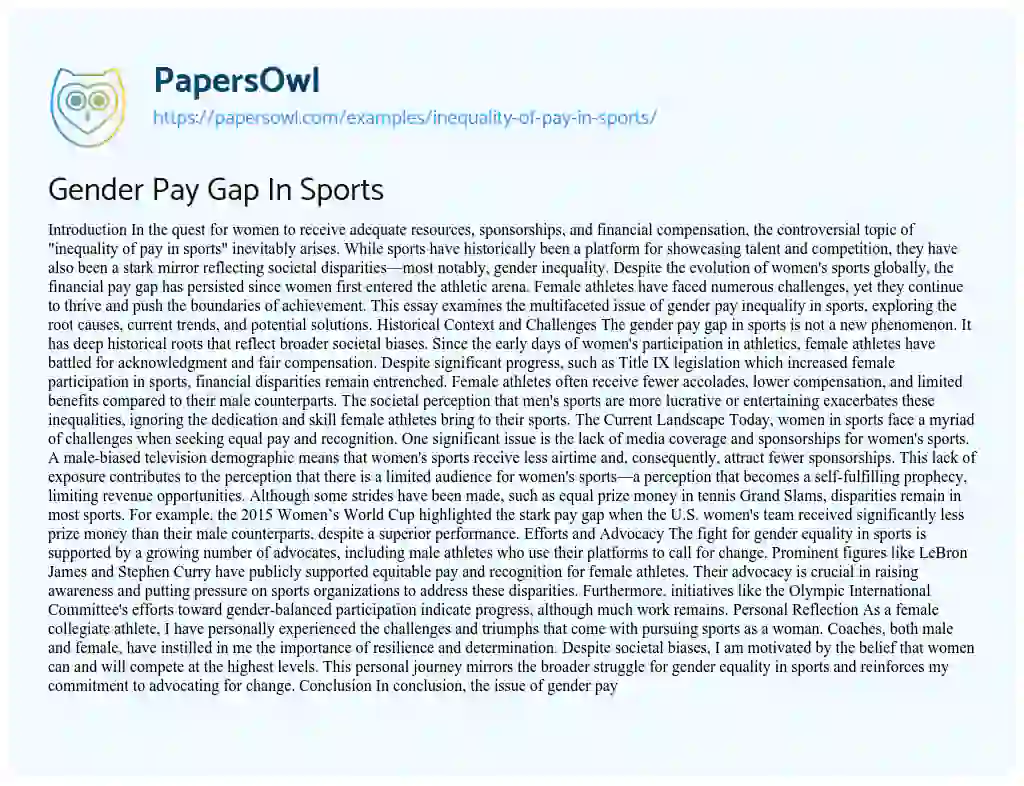 Essay on Inequality of Pay in Sports