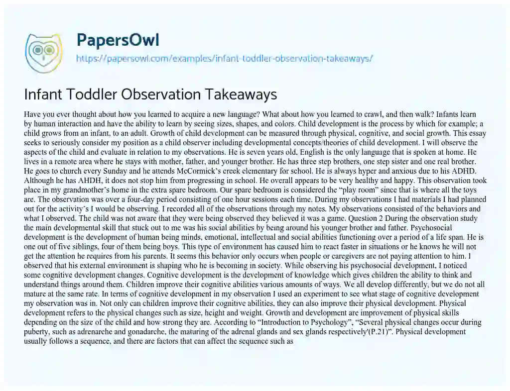 Essay on Infant Toddler Observation Takeaways