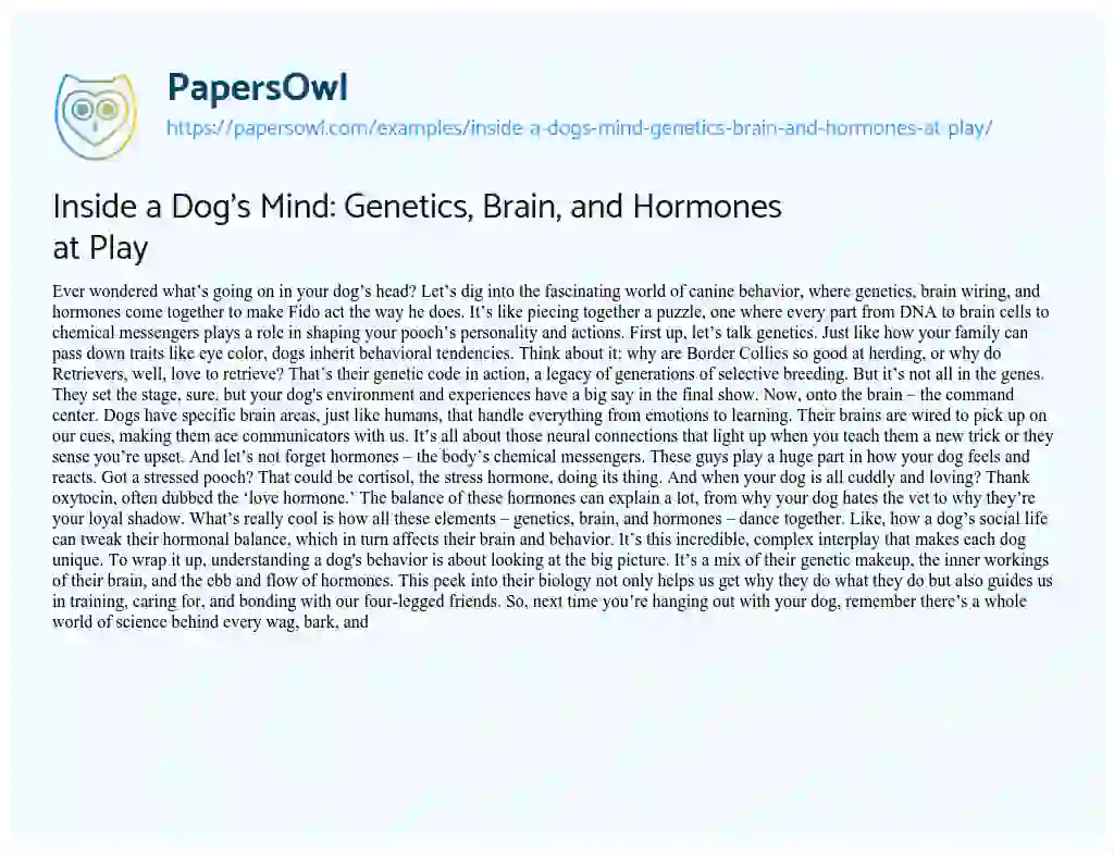 Essay on Inside a Dog’s Mind: Genetics, Brain, and Hormones at Play