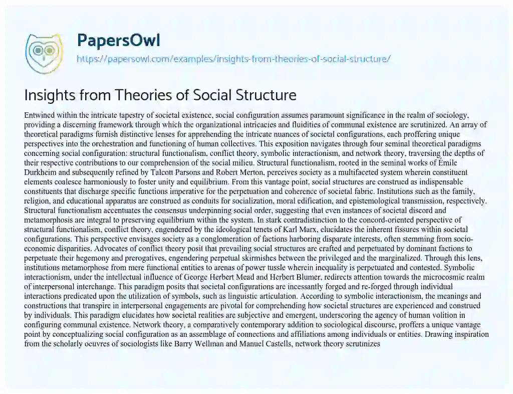 Essay on Insights from Theories of Social Structure