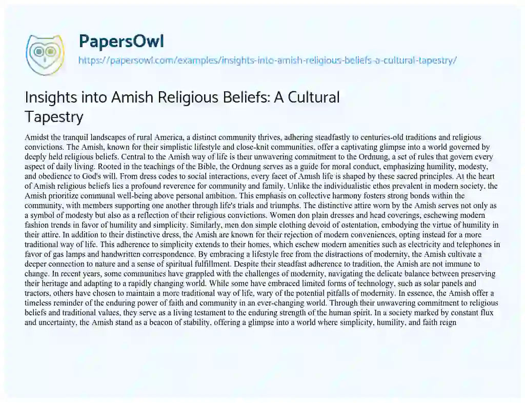 Essay on Insights into Amish Religious Beliefs: a Cultural Tapestry