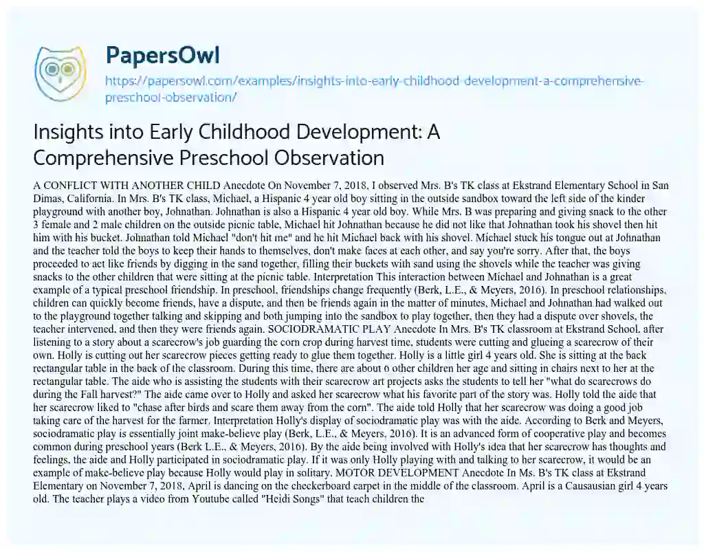 Essay on Insights into Early Childhood Development: a Comprehensive Preschool Observation