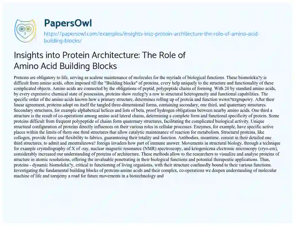 Essay on Insights into Protein Architecture: the Role of Amino Acid Building Blocks