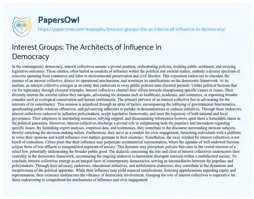 Essay on Interest Groups: the Architects of Influence in Democracy