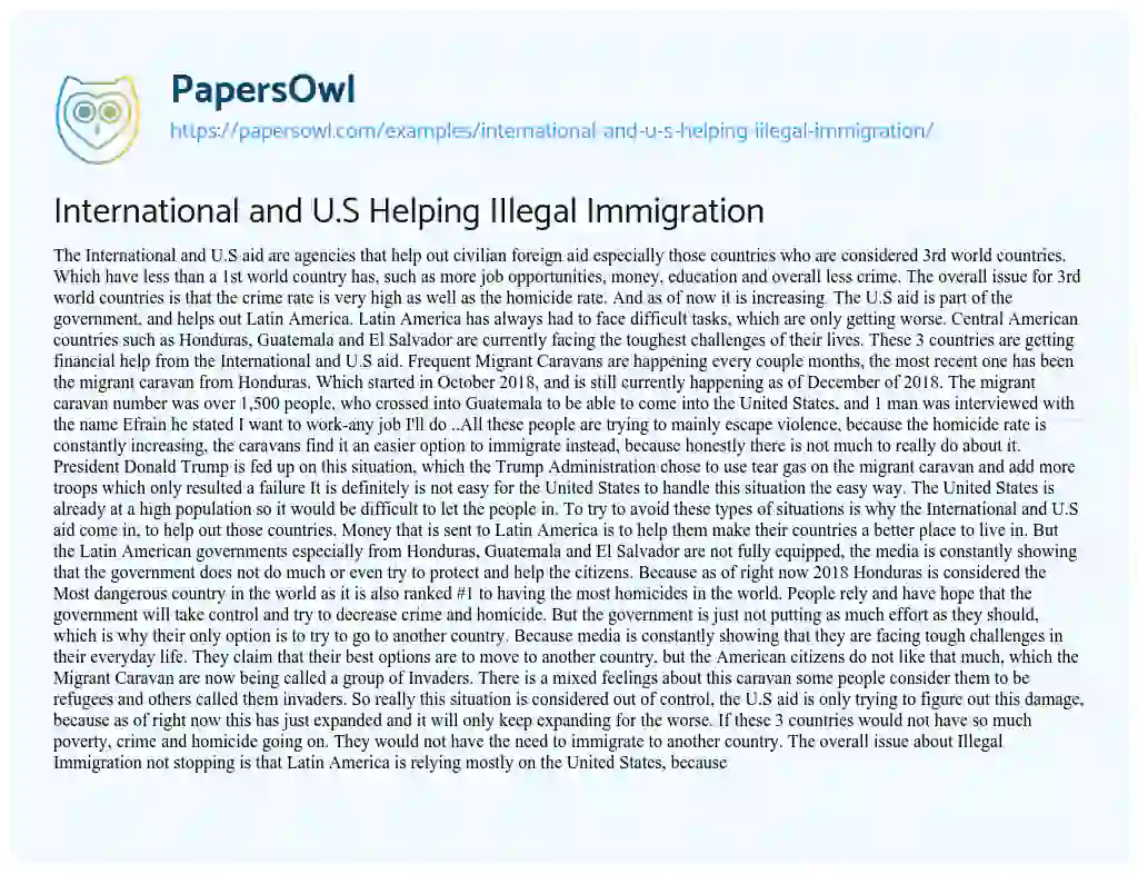 Essay on International and U.S Helping IIlegal Immigration
