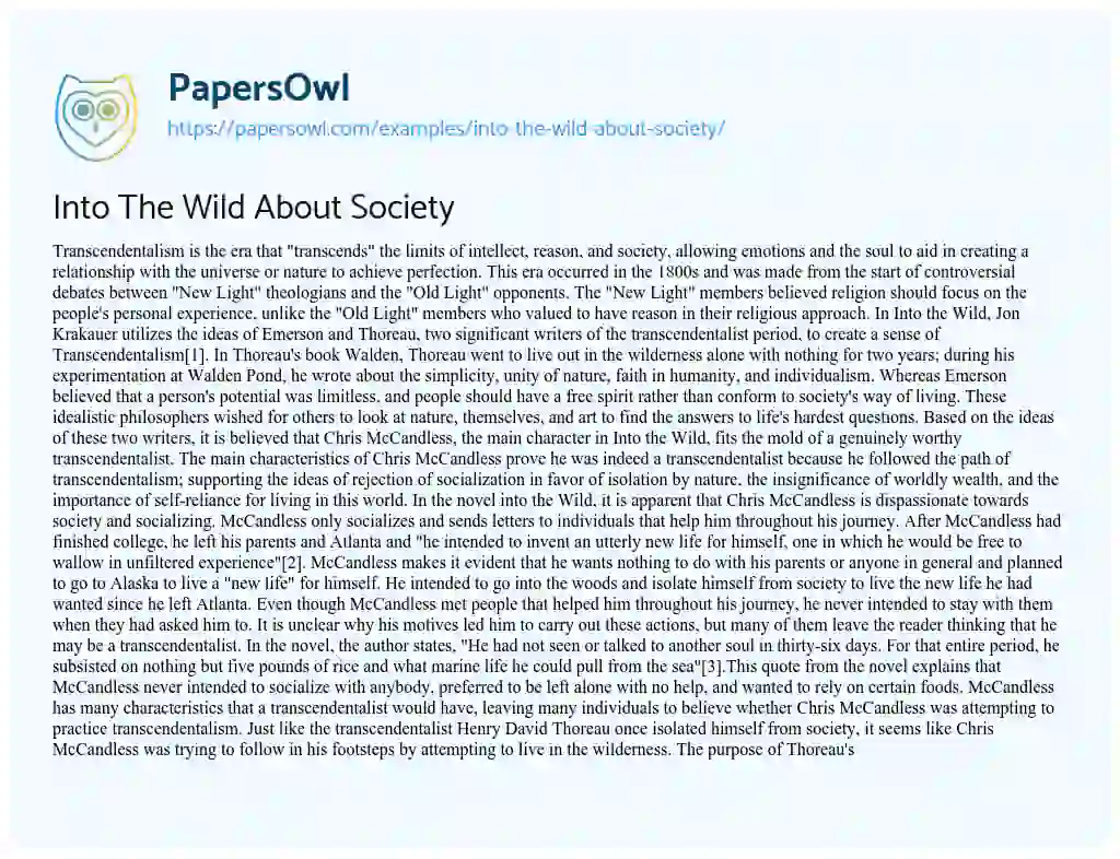Essay on Into the Wild about Society
