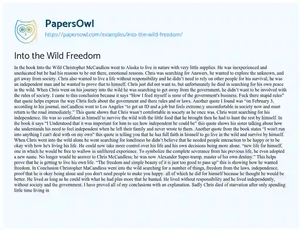 Essay on Into the Wild Freedom