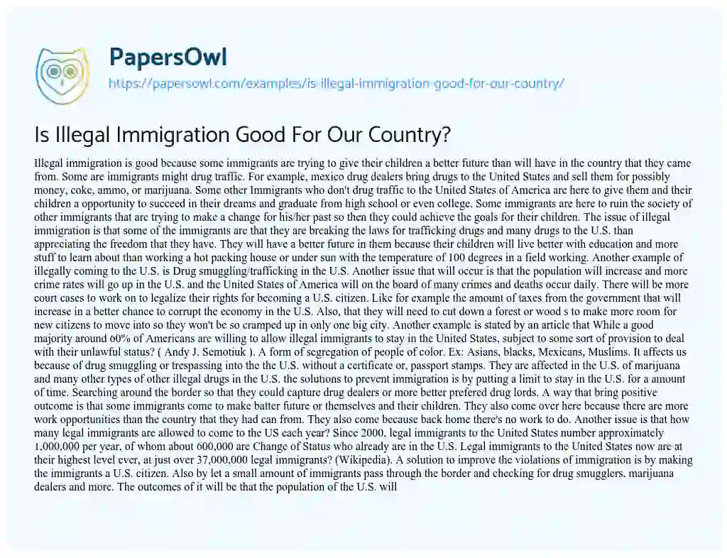 Essay on Is Illegal Immigration Good for our Country?