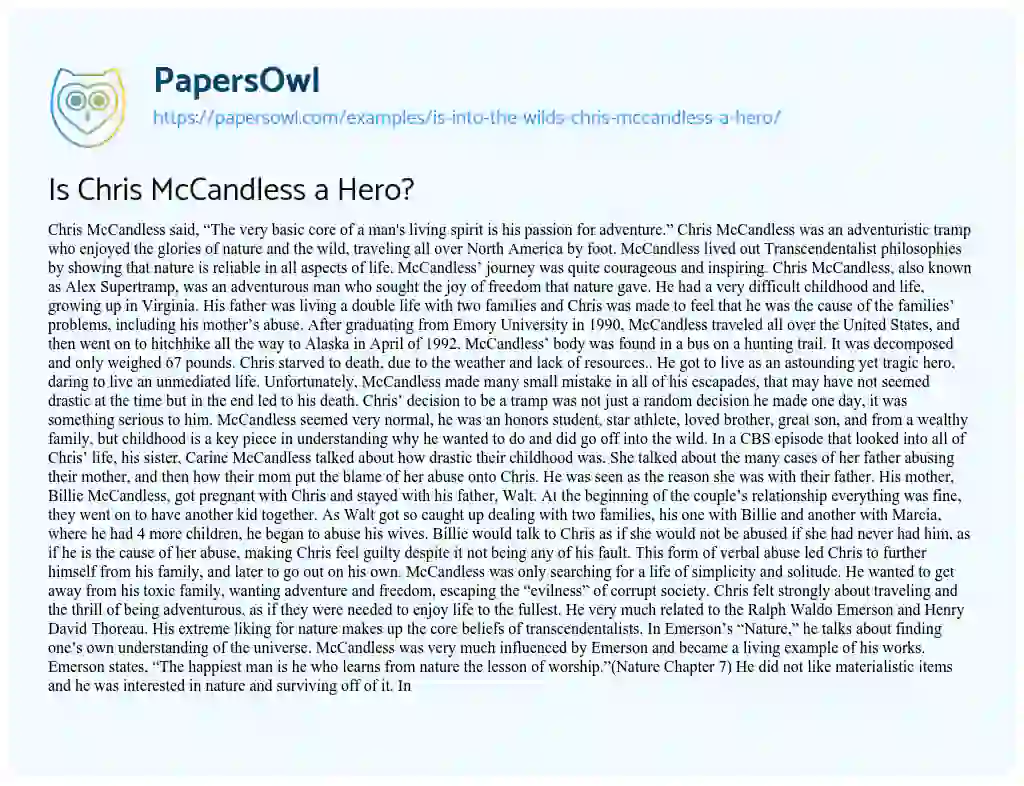 Essay on Is Chris McCandless a Hero?