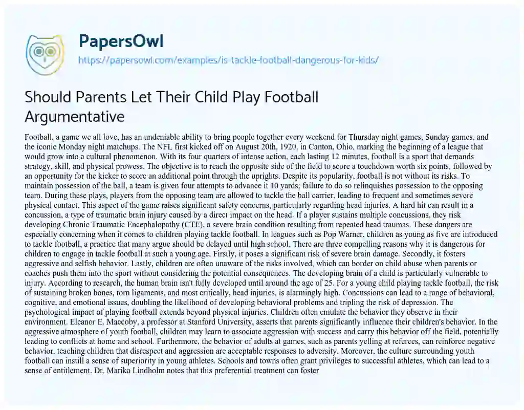 Essay on Is Tackle Football too Dangerous for Kids to Play?