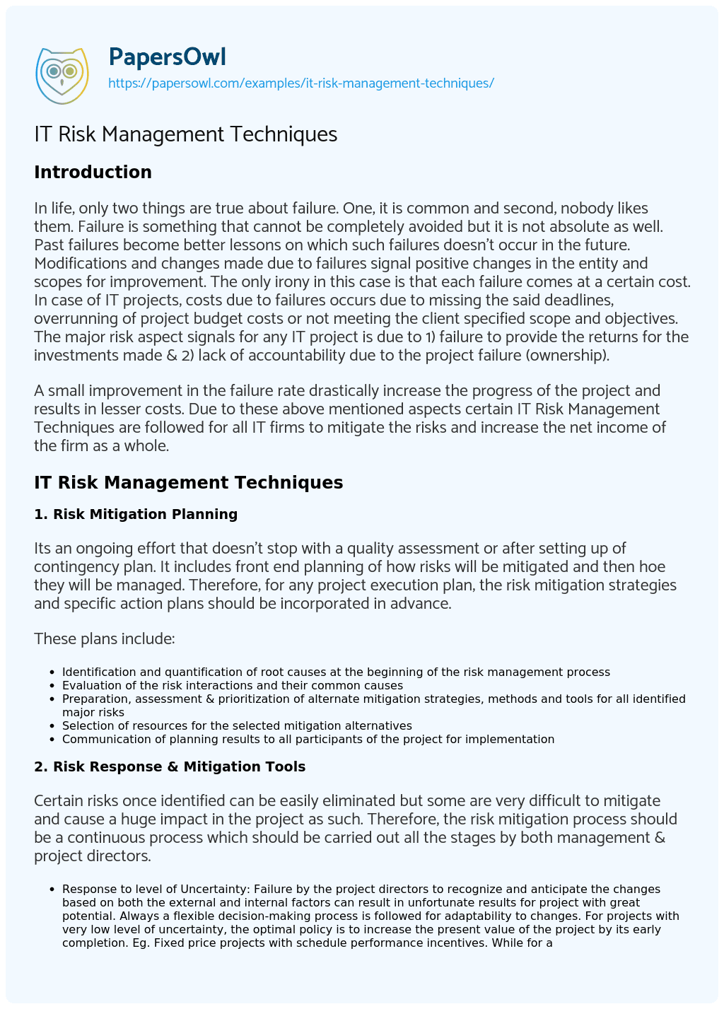 IT Risk Management Techniques essay
