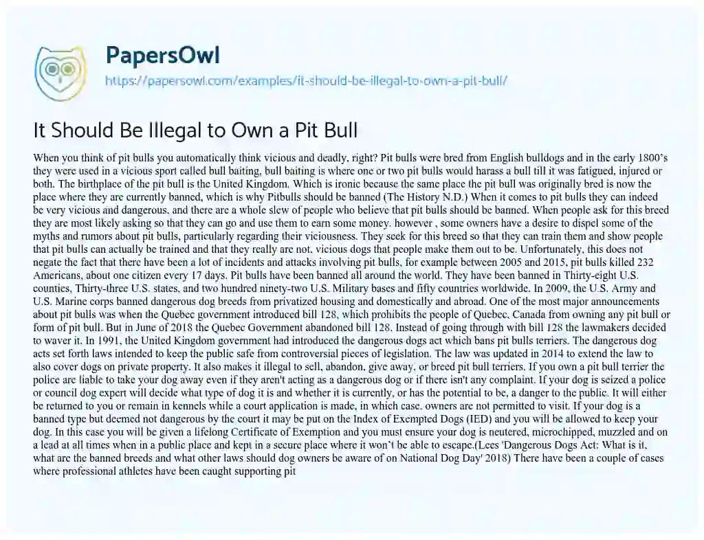 Essay on It should be Illegal to own a Pit Bull