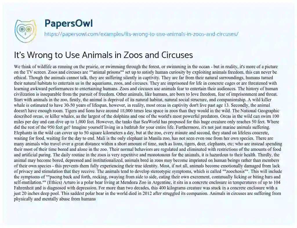 Essay on It’s Wrong to Use Animals in Zoos and Circuses