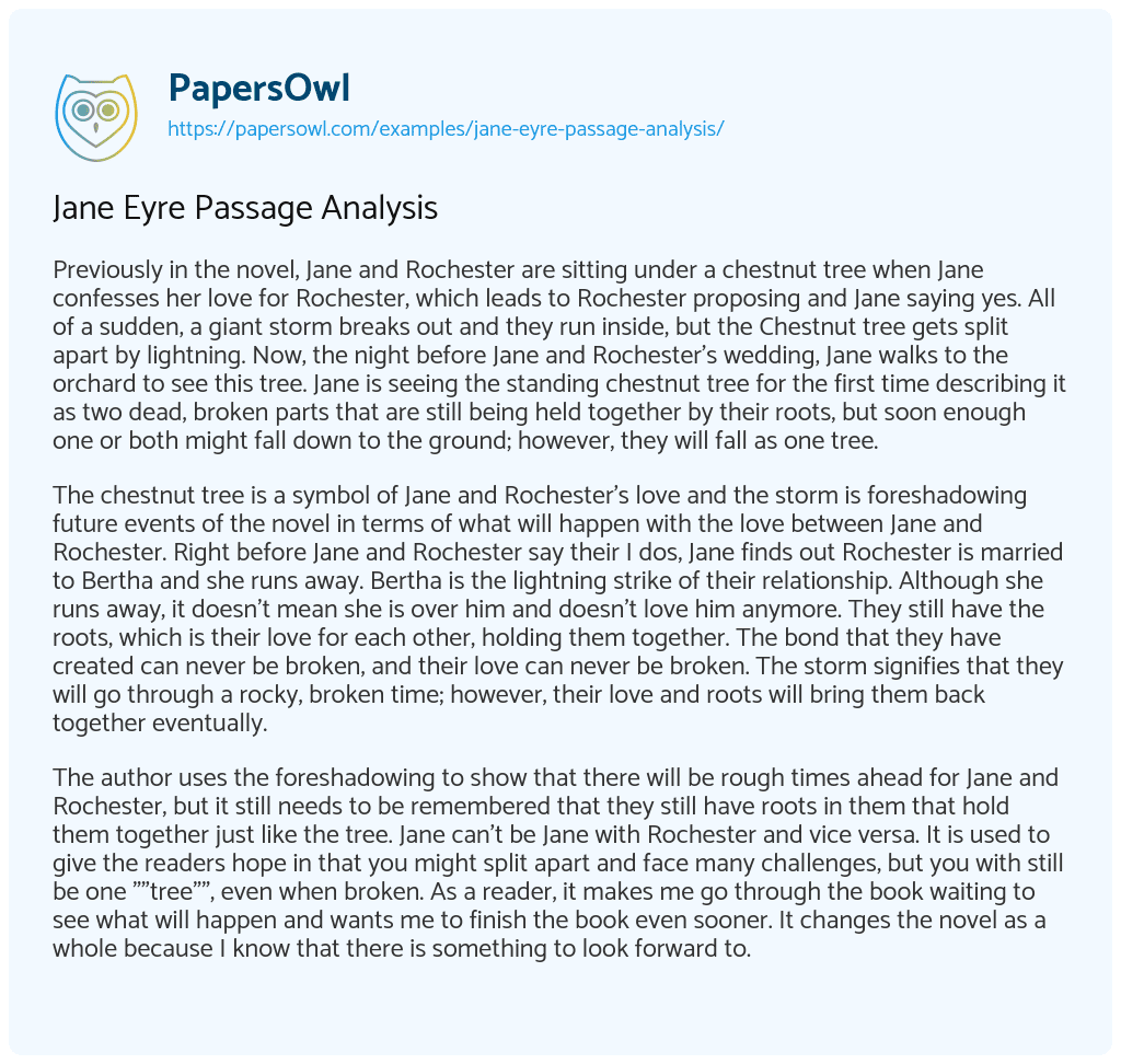 Essay on Jane Eyre Passage Analysis