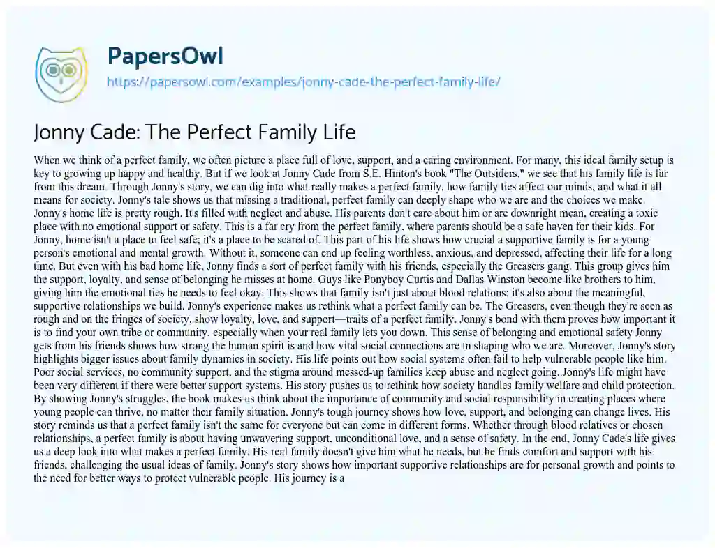 Essay on Jonny Cade: the Perfect Family Life