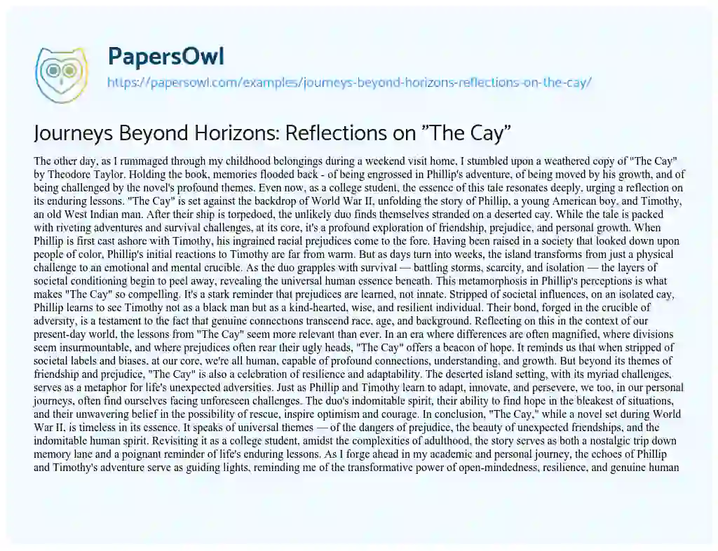 Essay on Journeys Beyond Horizons: Reflections on “The Cay”