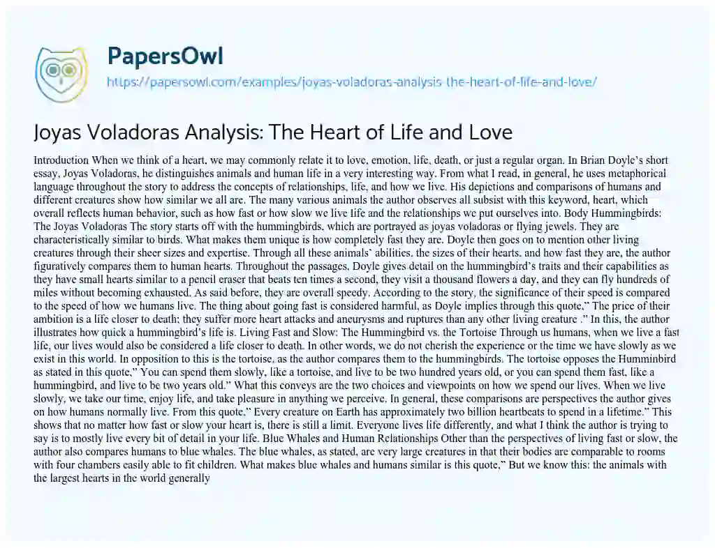 Essay on Joyas Voladoras Analysis: the Heart of Life and Love