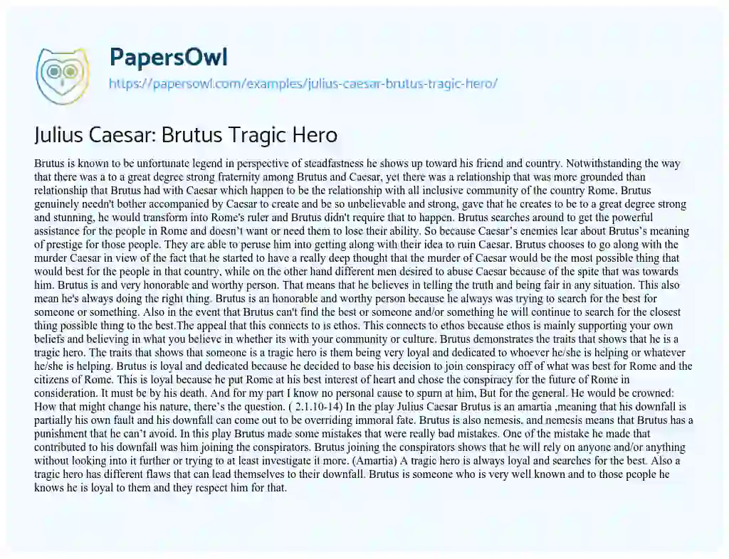 Essay on Julius Caesar: Brutus Tragic Hero