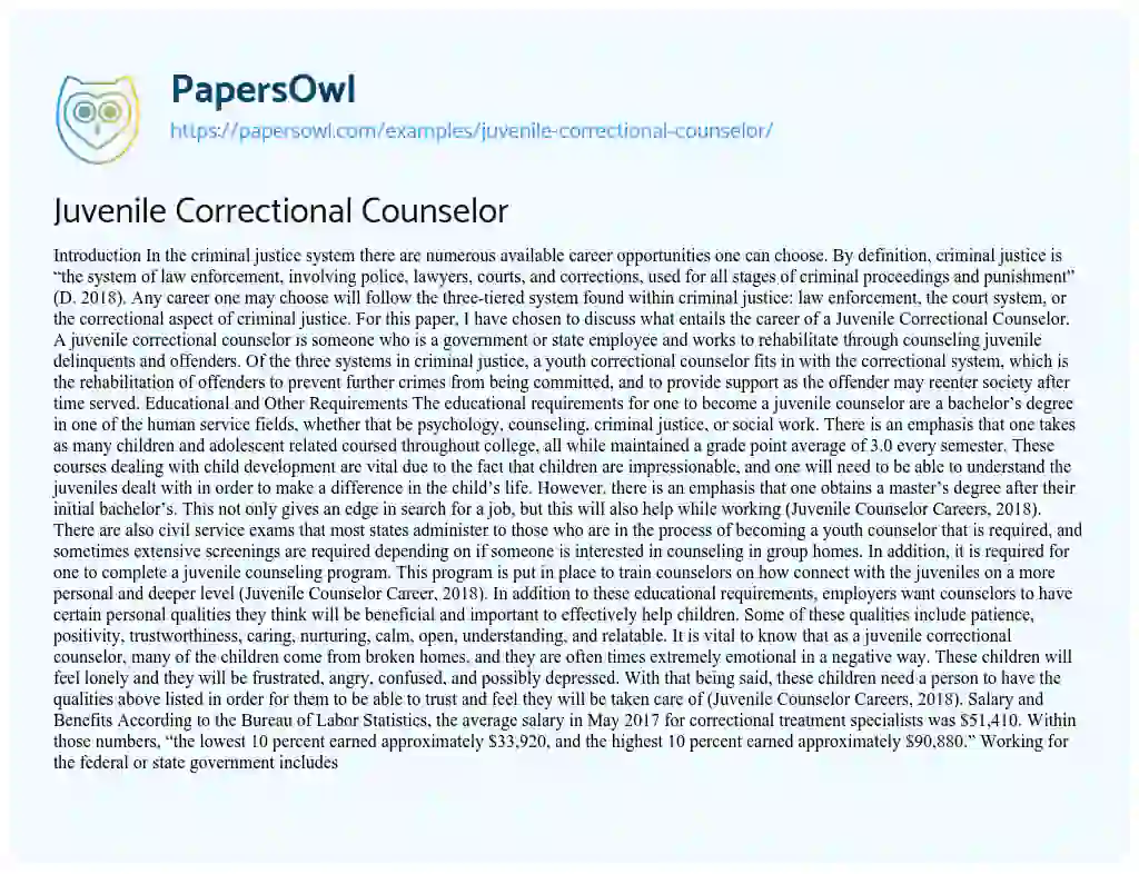 Essay on Juvenile Correctional Counselor