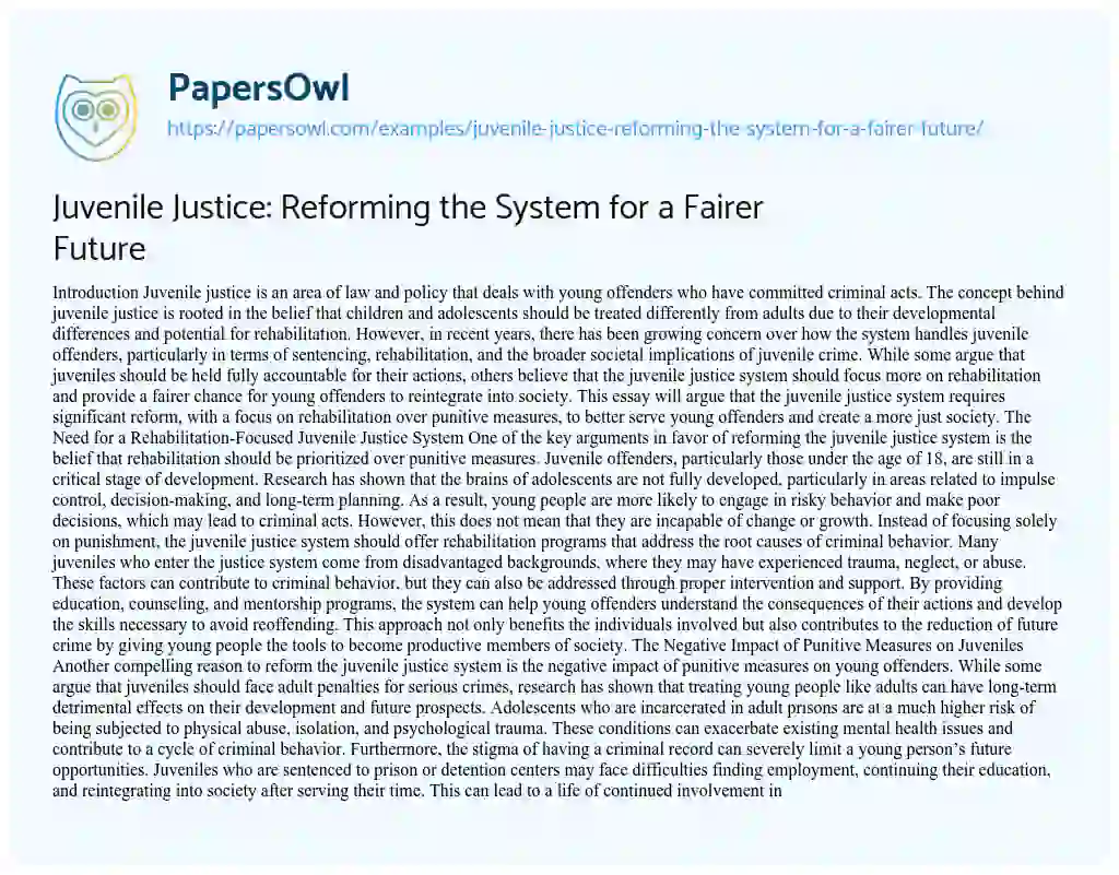 Essay on Juvenile Justice: Reforming the System for a Fairer Future