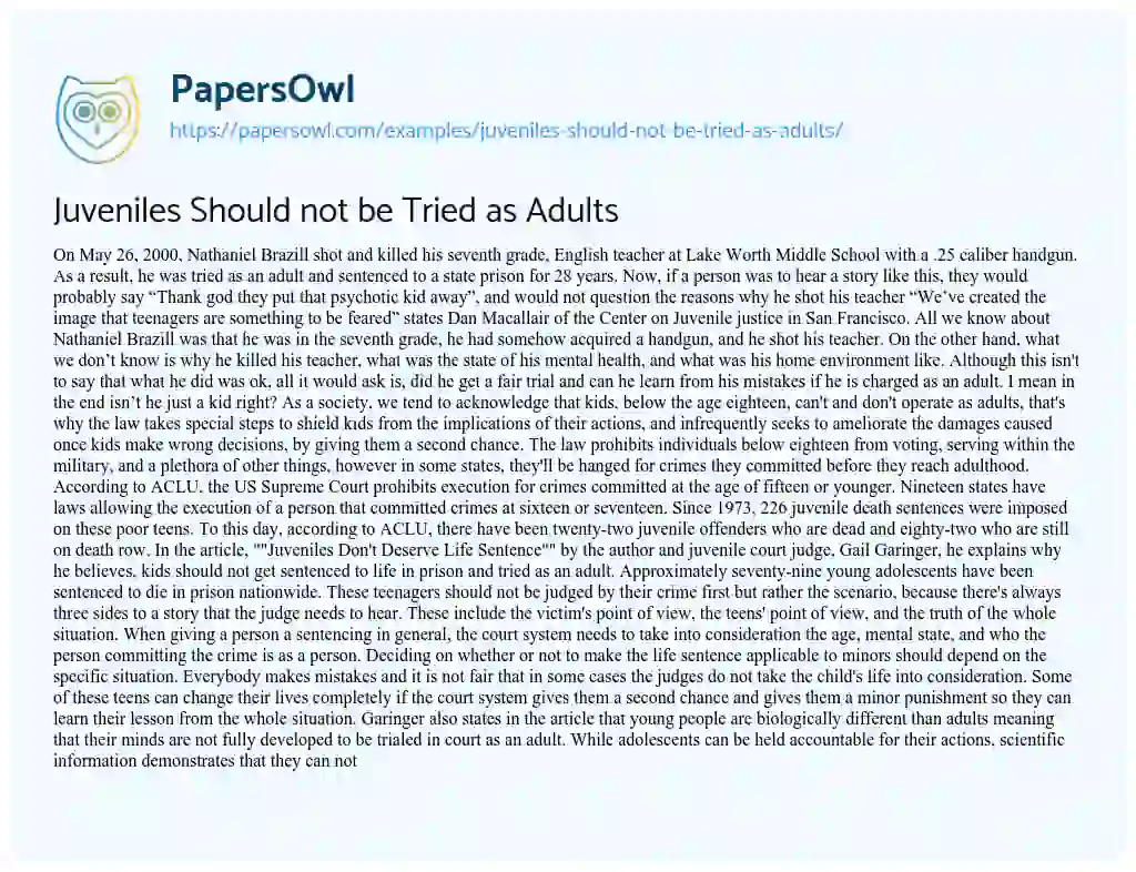 Juveniles Should Not Be Tried As Adults - Free Essay Example - 2441 ...