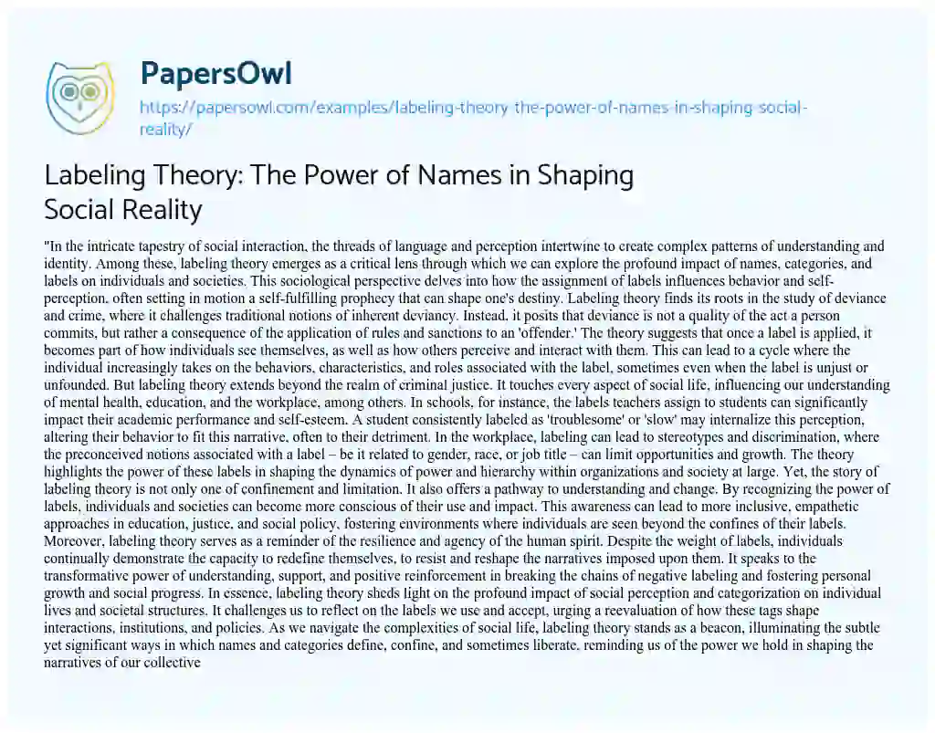 Essay on Labeling Theory: the Power of Names in Shaping Social Reality
