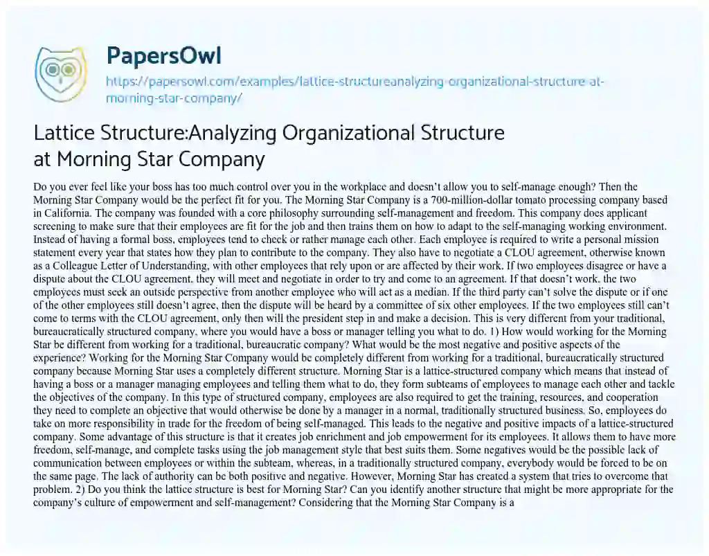 Essay on Lattice Structure:Analyzing Organizational Structure at Morning Star Company 