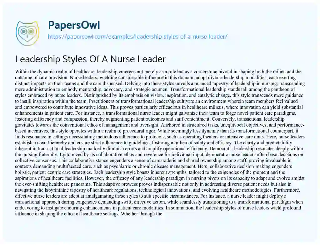 Essay on Leadership Styles of a Nurse Leader