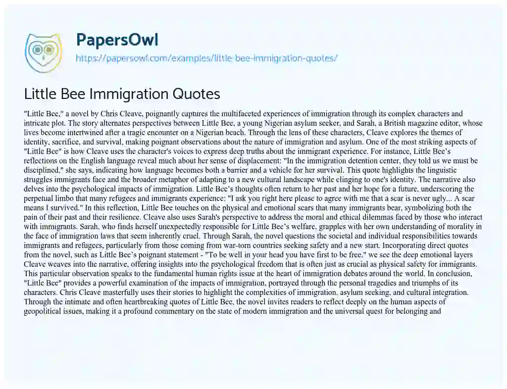 Essay on Little Bee Immigration Quotes