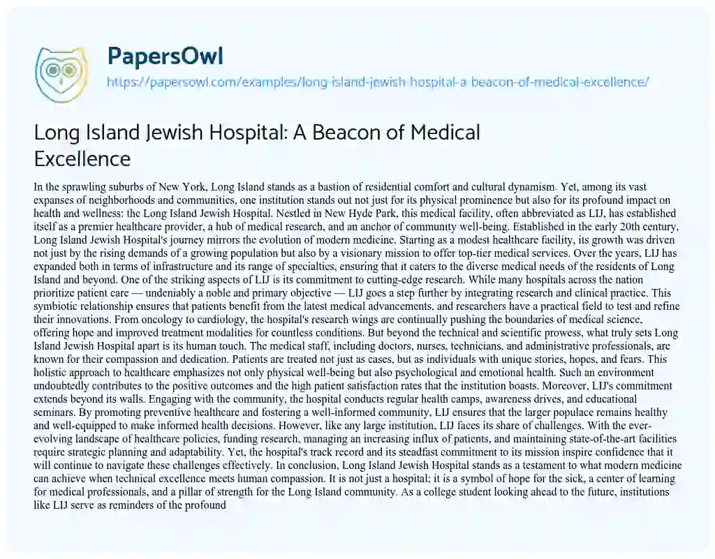 Essay on Long Island Jewish Hospital: a Beacon of Medical Excellence