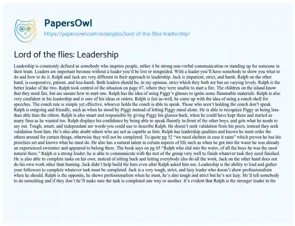 Essay on Lord of the Flies: Leadership