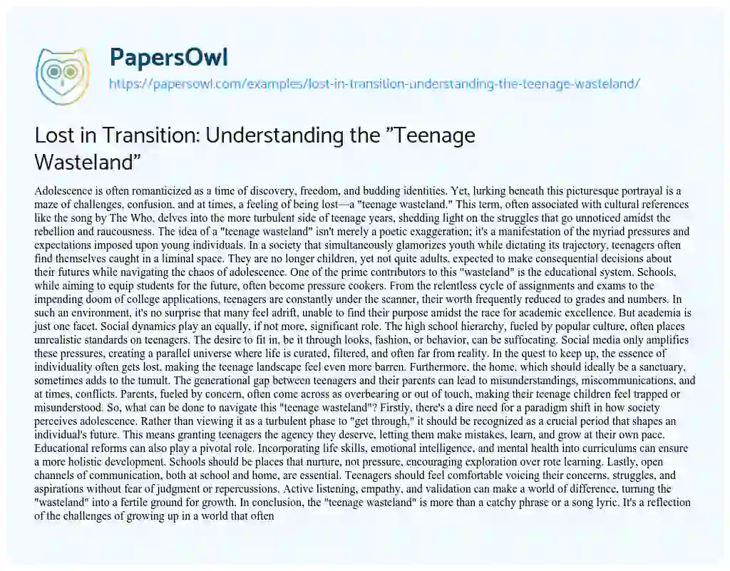 Essay on Lost in Transition: Understanding the “Teenage Wasteland”