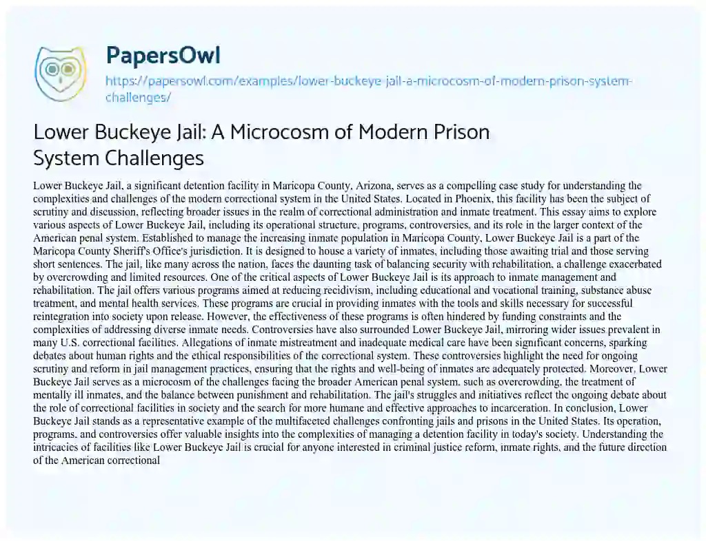 Essay on Lower Buckeye Jail: a Microcosm of Modern Prison System Challenges