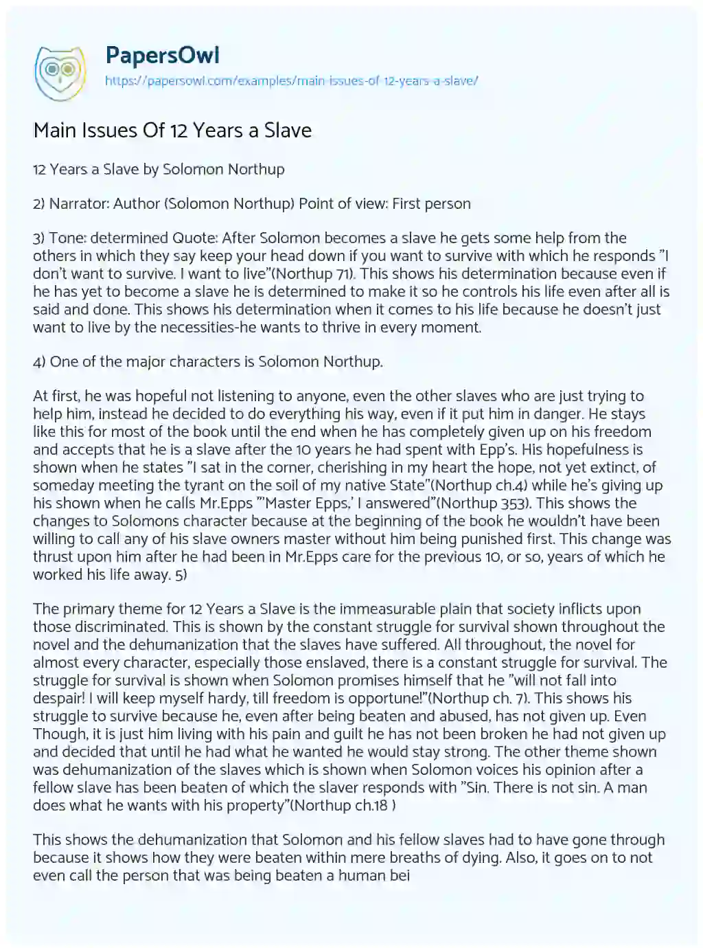 Essay on Main Issues of 12 Years a Slave