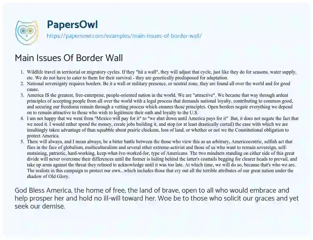 Essay on Main Issues of Border Wall