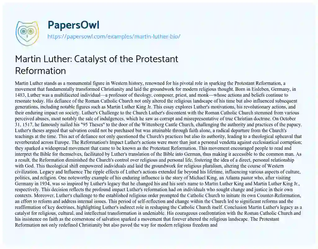 Essay on Martin Luther Biography